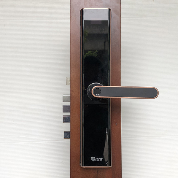 Khóa Cửa Vân Tay IKS-Z3V - ảnh 1