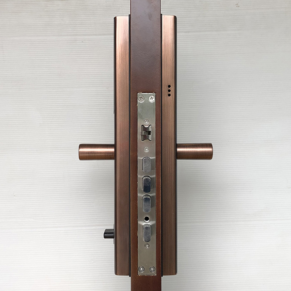 Khóa Cửa Vân Tay IKS-Z3V - ảnh 2