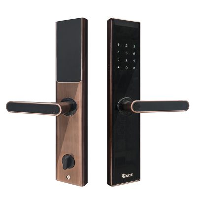 Khóa Cửa Vân Tay IKS-Z3V - ảnh 3