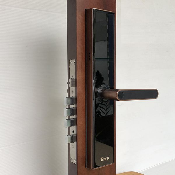 Khóa Cửa Vân Tay IKS-Z3V